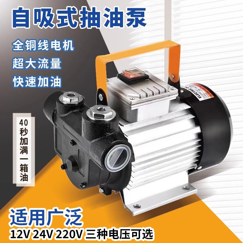 电动抽油泵12v24v220v大流量550W大功率加油机柴油小型防爆自吸泵