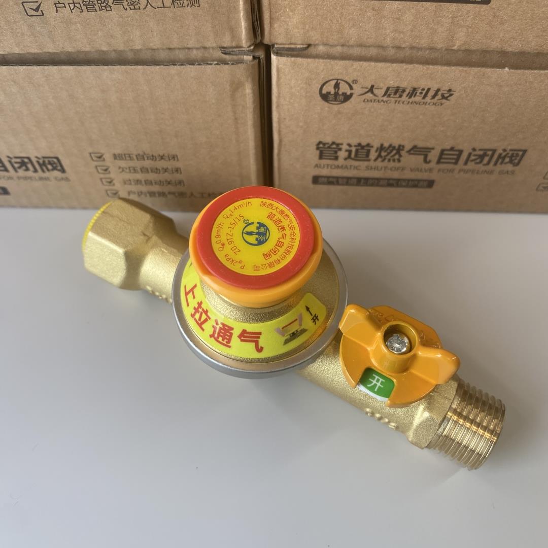 全铜陕西大唐燃气自闭阀家用天然气管道漏气自动断气防漏安全阀门