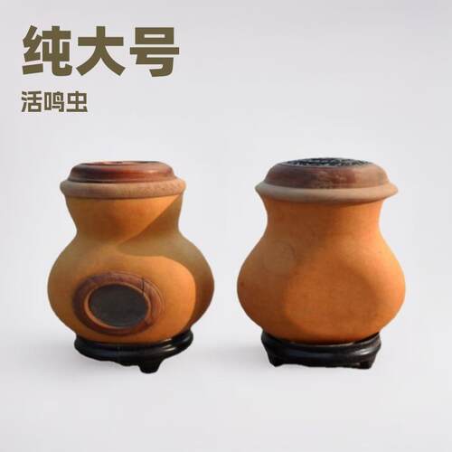 蝈蝈笼子葫芦蛐蛐葫芦叫罐加扁葫芦款纯大号活鸣虫手工摆件