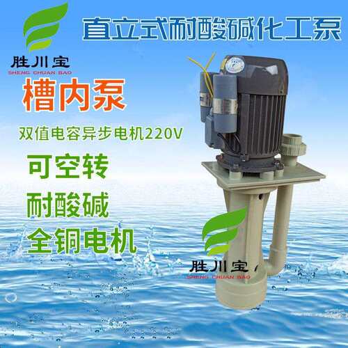 胜川宝 立式塑料液下泵微型槽内立式泵220V 化工泵 离心泵