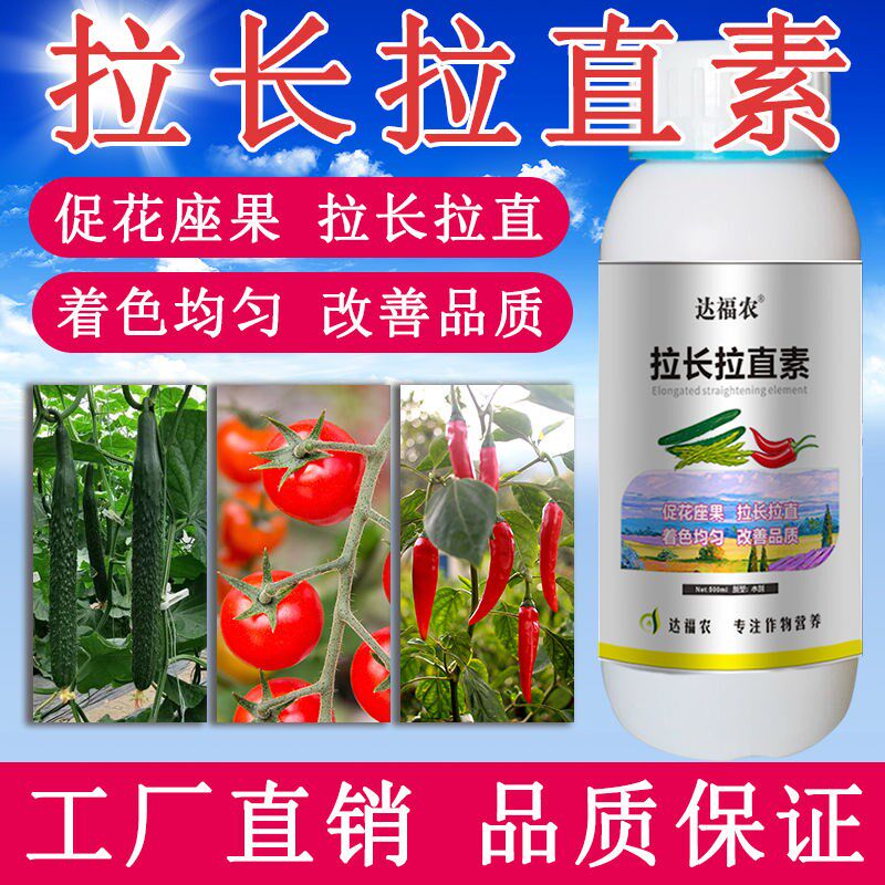 黄瓜豆角辣椒茄子西葫芦番茄拉长拉顺直药膨大素增产剂叶面肥