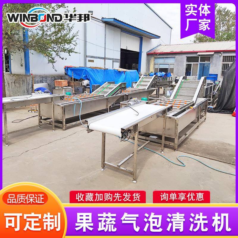 果脯蜜成加工设备 杏脯干清洗流水线 黄杏青梅洗CHW饯风干生套产