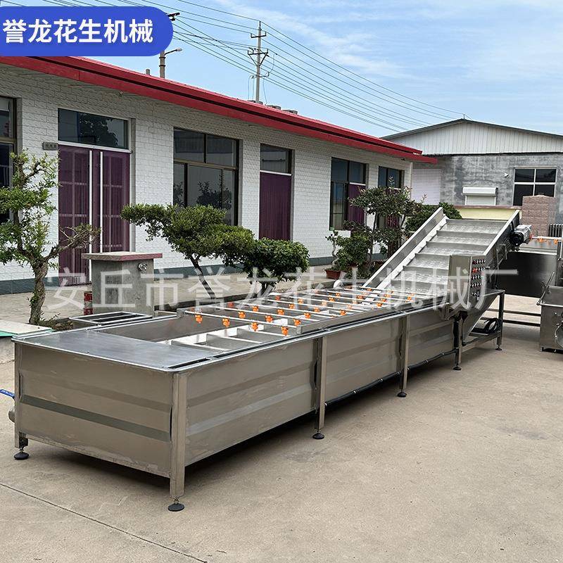 全自动花洗果土豆胡萝卜等蔬菜水清洗机气VAI泡果清毛辊刷洗清生
