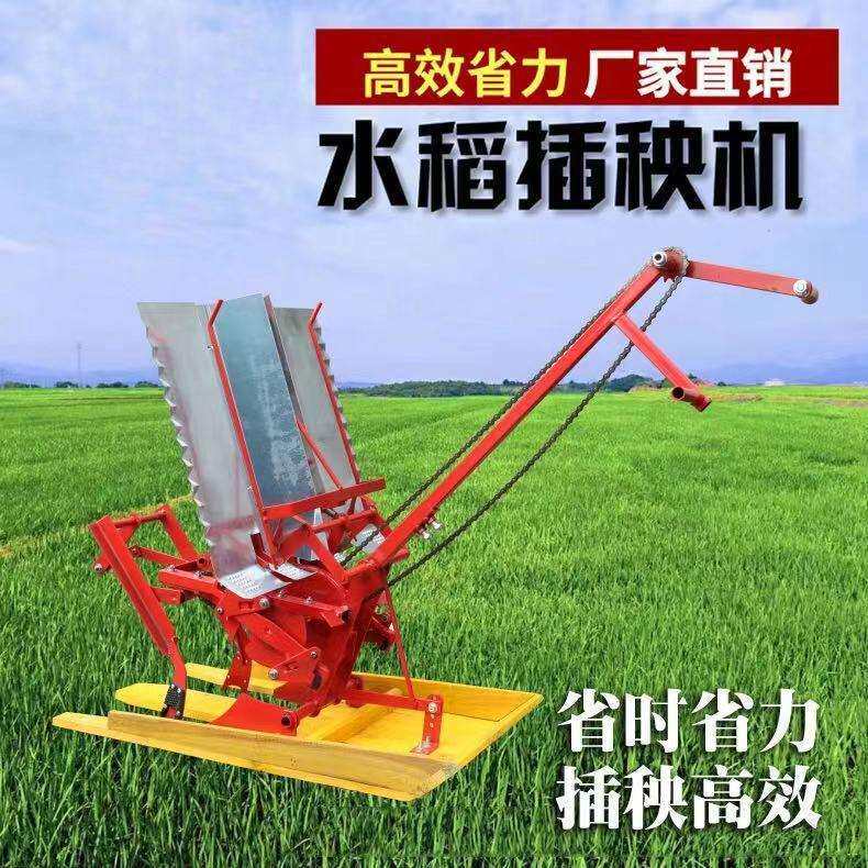 插秧机专用水稻新式手扶新款小型插秧机农用栽秧机稻谷手动
