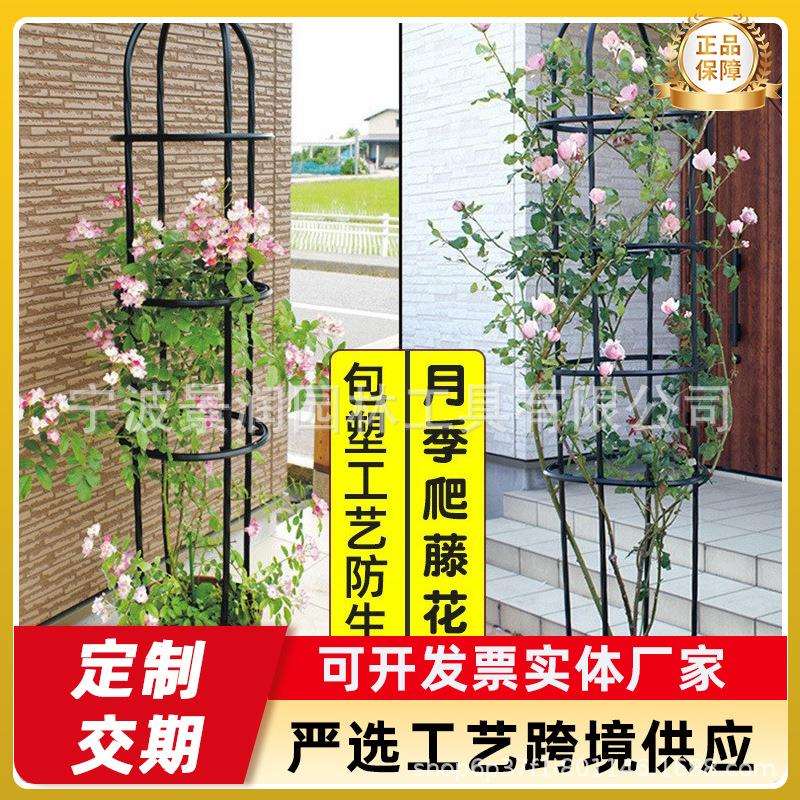 爬藤植物攀爬花架欧式铁线莲架子园艺支架玫瑰花月季花爬架支撑