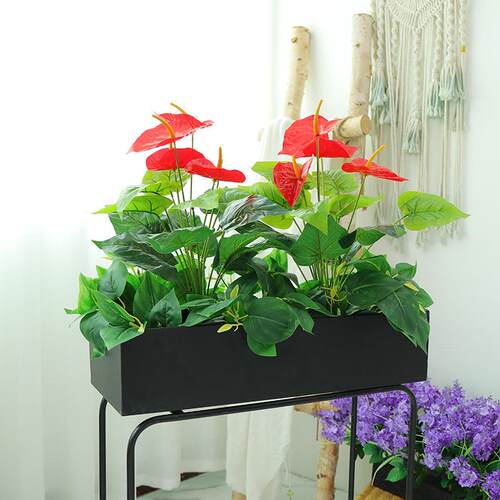 盆栽绿植假花塑料造景仿真花 植物落地造景花箱花槽装饰仿真红掌