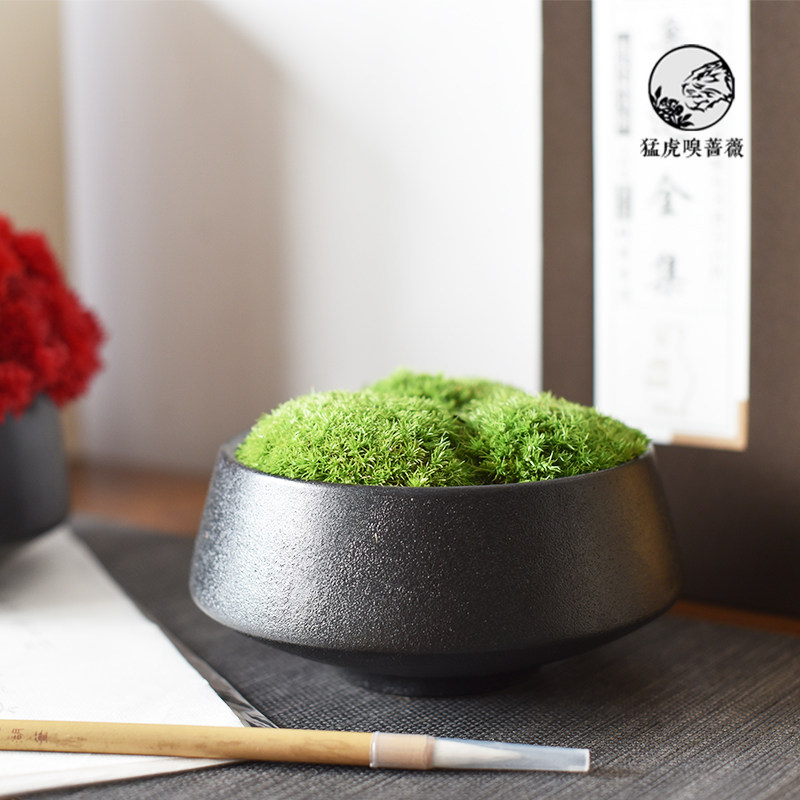 新绿色青苔仿真苔藓艺假黑色器茶几洽谈桌软饰品