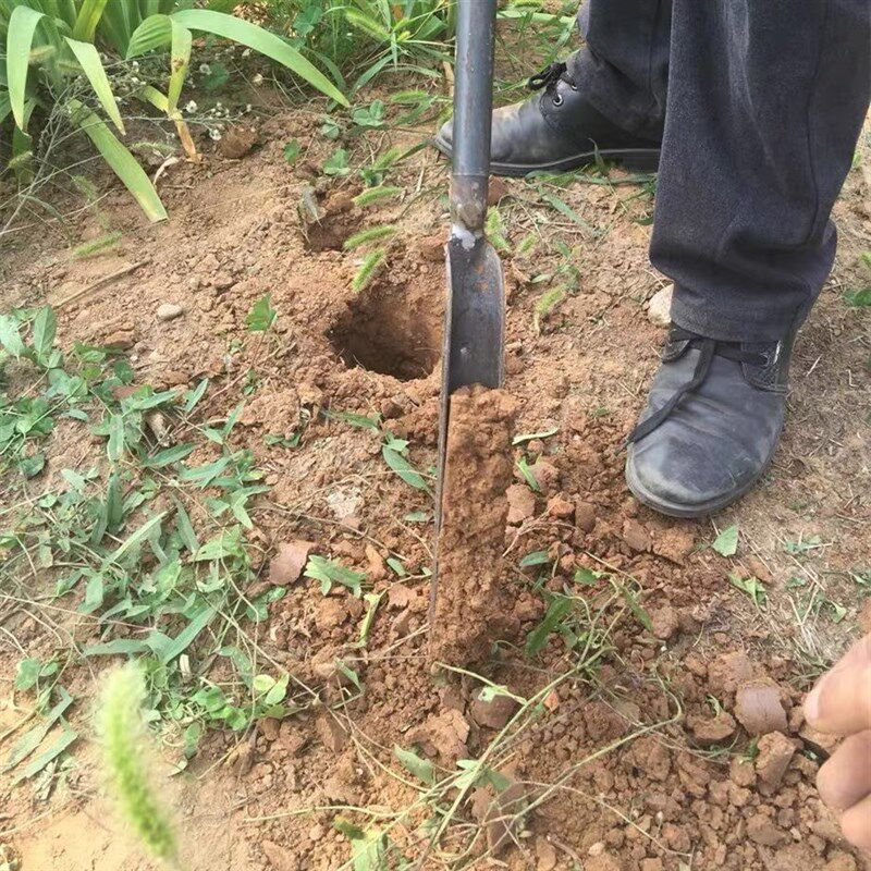 新品锰钢铲取土器挖坑洞考古勘探装打洞穿管