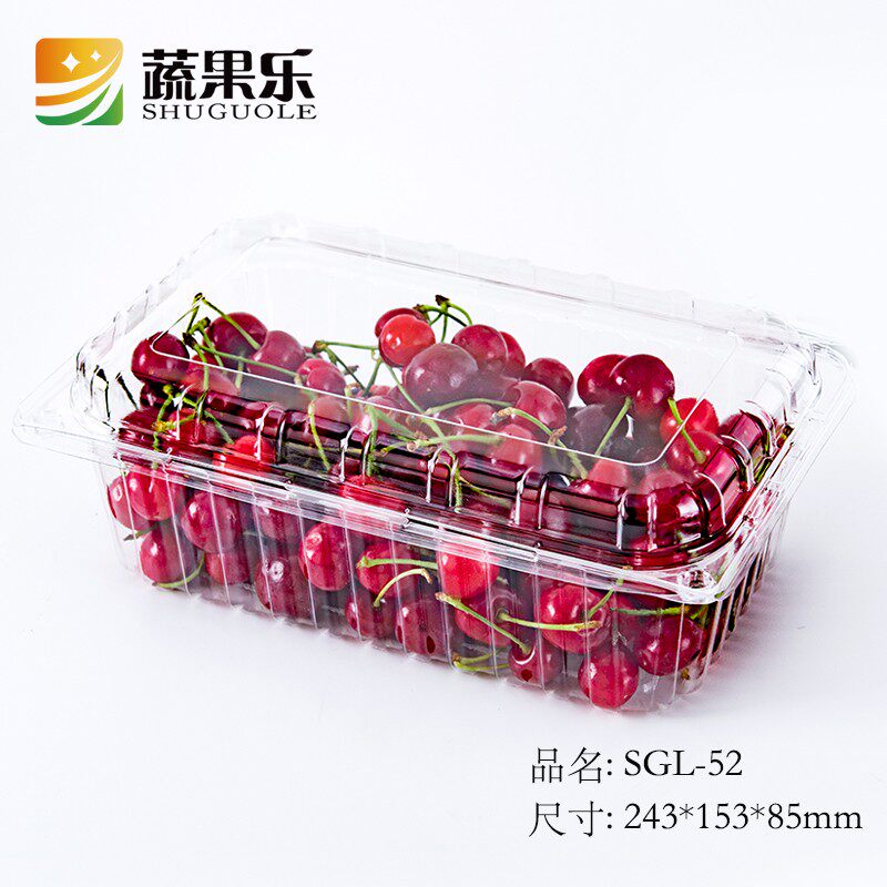 蔬果乐次性加厚抗压公斤草莓厘子带盖包盒打包盒