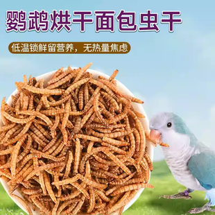 鹦鹉面包虫干零食互动零食宠物用品鹦鹉专用大全玄凤牡丹面包虫干