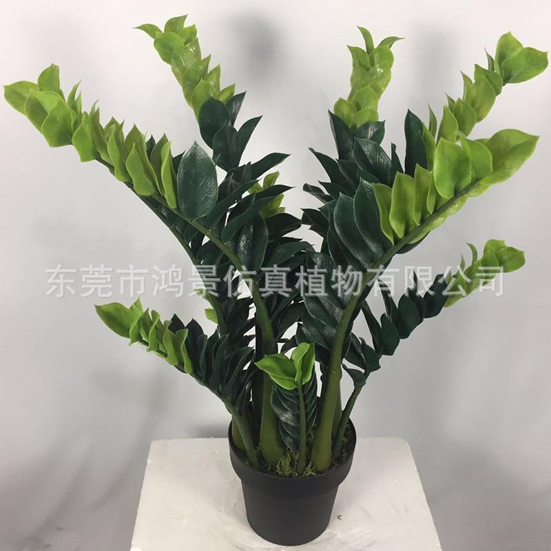 仿真金钱树厂家人造假树盆栽风水树安金钱树人造招财树家居装饰树