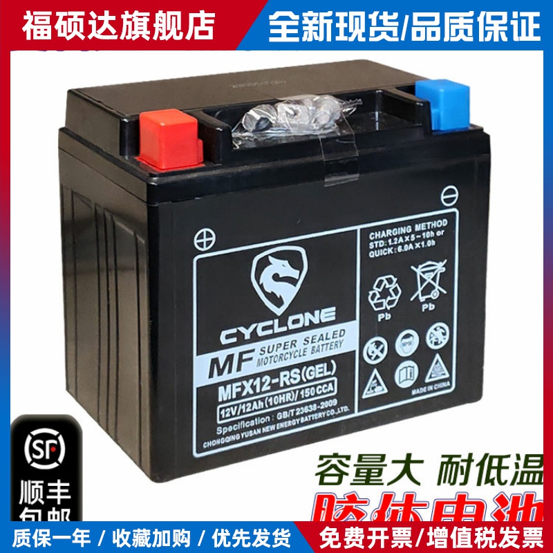 赛科龙原厂蓄电池RX1S RG3 RT3 RA401 RE560 RC250胶体干电瓶