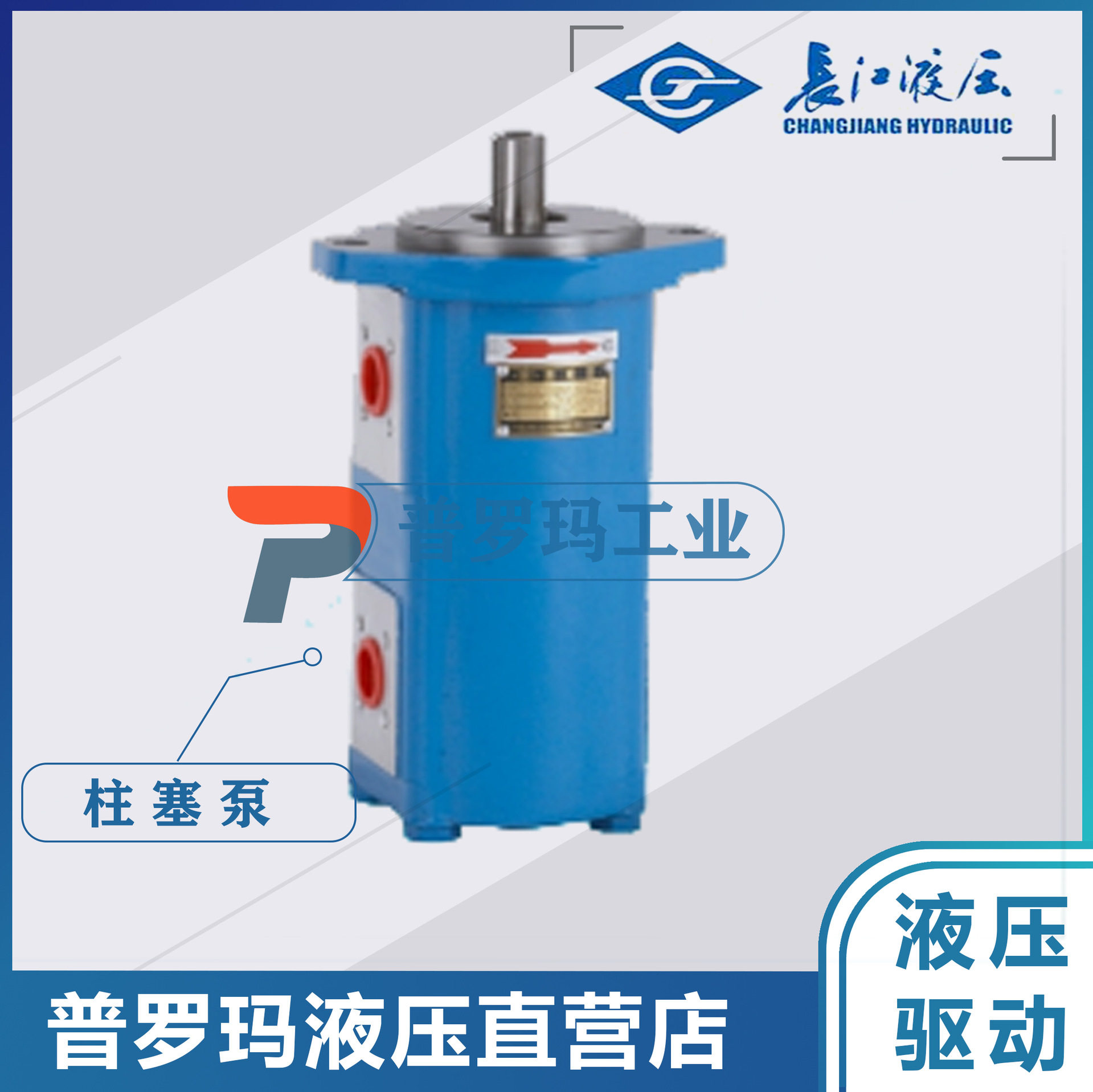 长江齿轮泵CMK1004/1006/1008/1010/1012/1016/1020/25-B4D-439LR