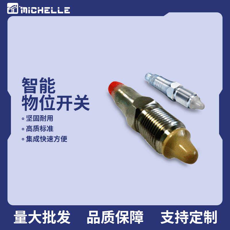 堡盟LBFS物位控制器限位开关音叉液位感应开关智能物位开关
