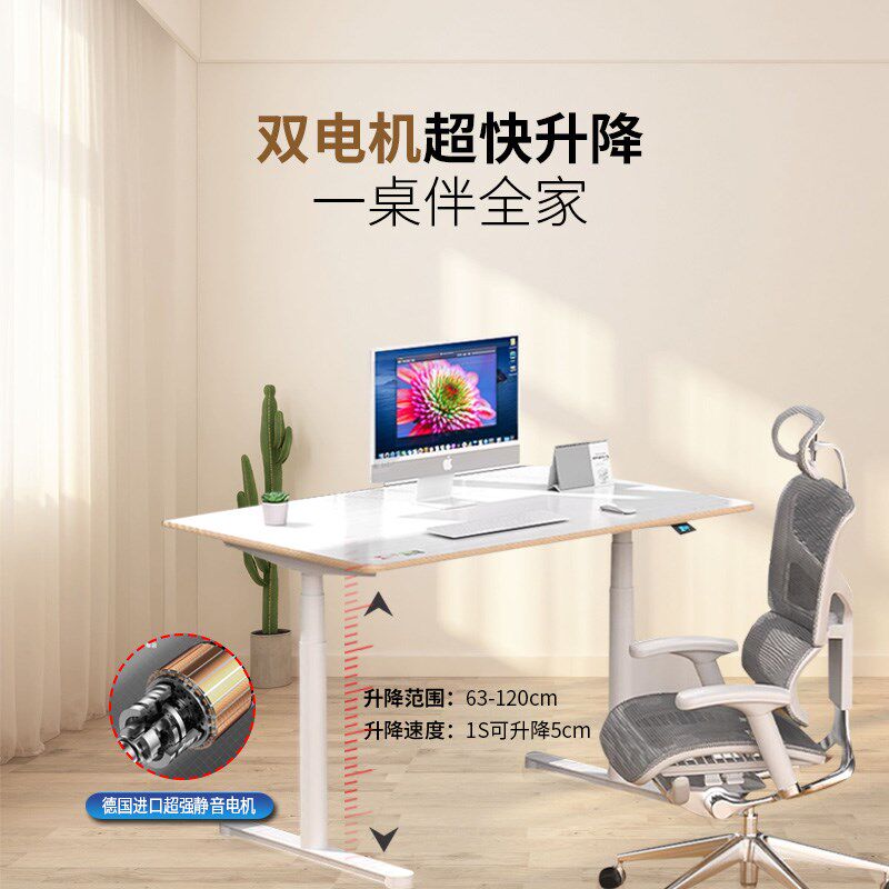 电动升降桌电脑桌电竞桌子书桌学习桌办公桌降工作台