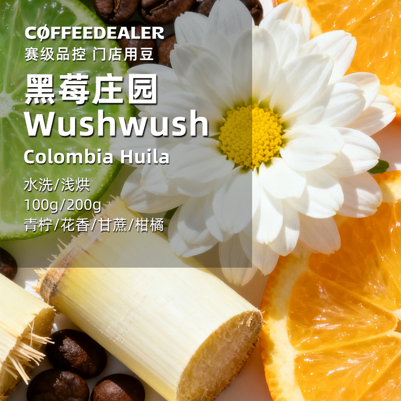 CC上海1st烘焙黑莓庄园wushwush