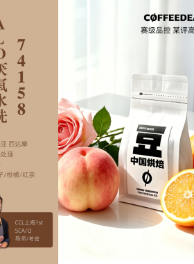 咖啡丢了ALO厌氧水洗74158埃塞俄比亚浅烘焙精品手冲combo咖啡豆