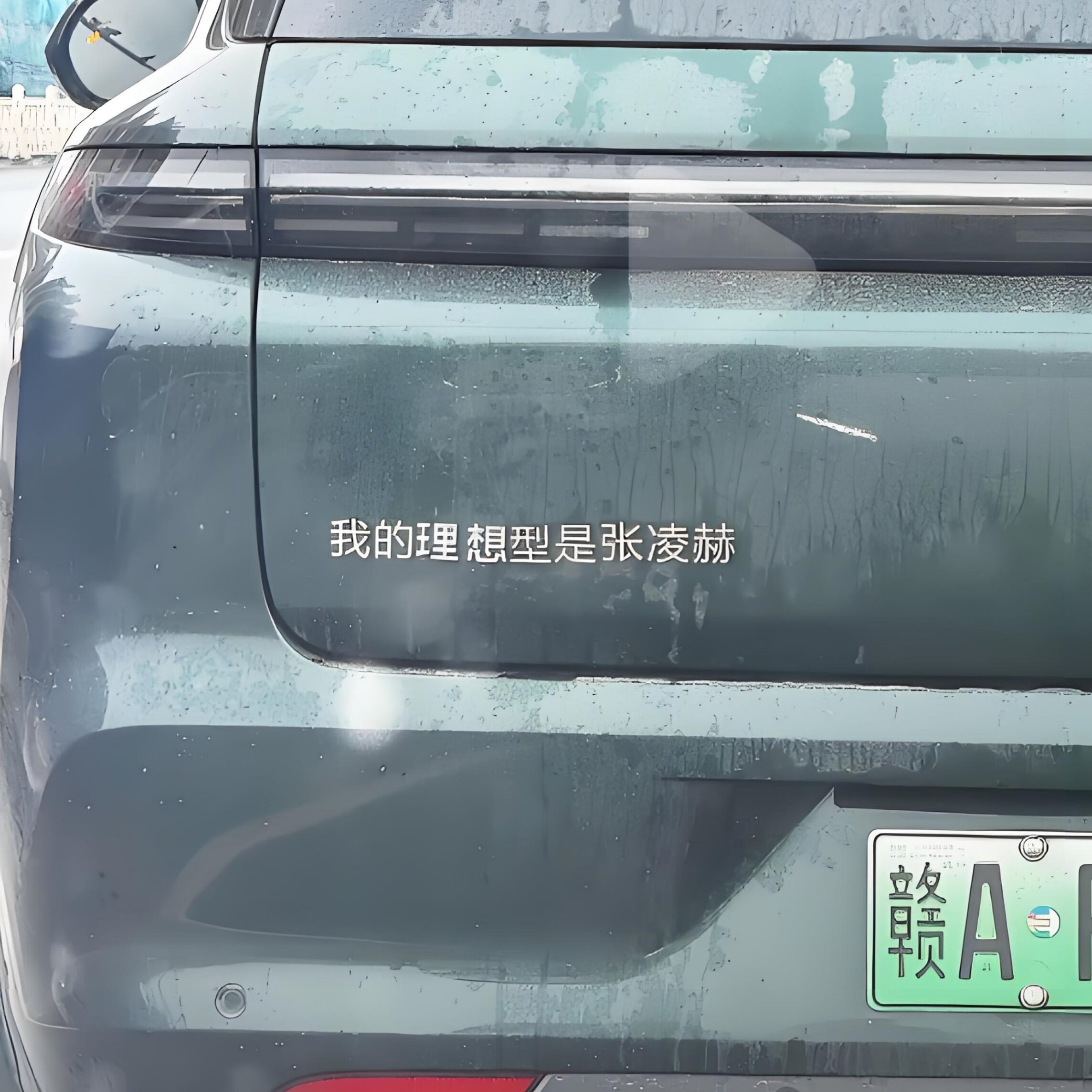 我的理想型是张凌赫是躺着数钱汽车标贴不锈钢定制搞笑个性装饰贴