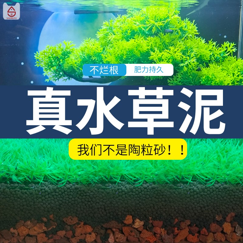 保真水草泥【今天發貨】