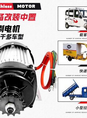 电动三轮车电机24V48v800W000W中置减速直流无刷马达改装