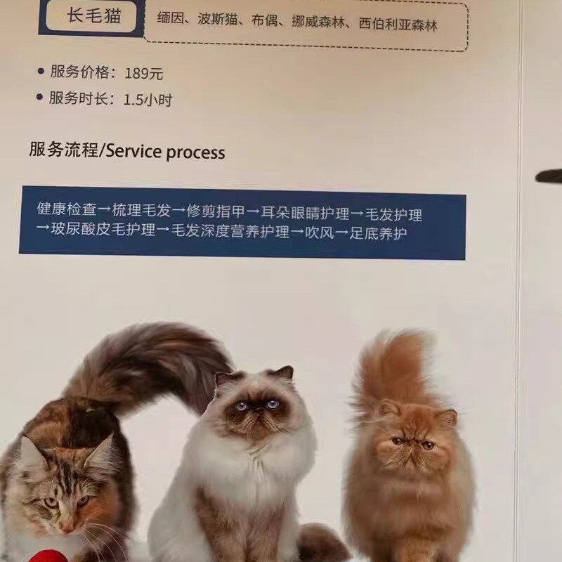 宠物店价目表价格表设计制作洗澡店洗护价目表展示牌养生诊所服务