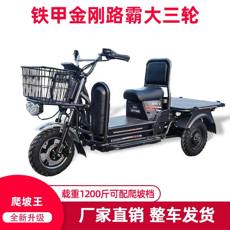 新款载重王电动三轮车大力神载货快餐拉客快递爬坡王送货车