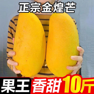海南金煌芒果新鲜10斤特大一级三亚特产水果包邮当季整箱水仙芒5