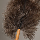 梅鹿邛竹天然 拂尘 洗尘扫灰竹制雀毛 驼鸟毛 把玩件 筇竹杆