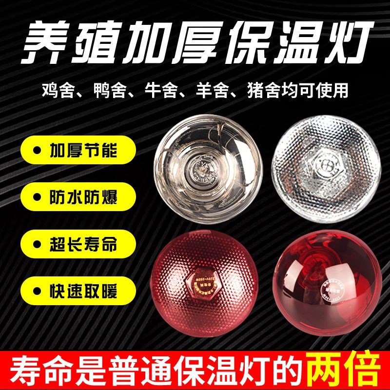 养殖取暖灯防水防爆畜牧保温灯小鸡仔猪加热烤灯能保暖灯炮