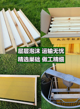 中蜂巢础成品巢框带框巢础杉木蜜蜂箱养蜂工具十
