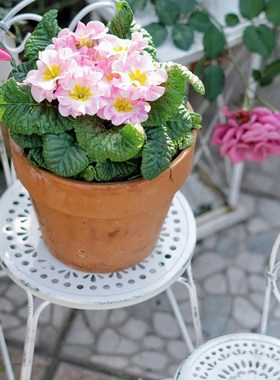 白色铁艺做旧架大小号