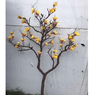 玉兰树枯枝落地瓶客厅橱造景婚庆道具树干树枝艺装 饰
