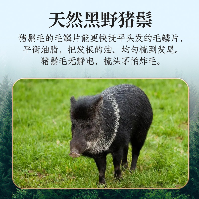 叶梳匠猪鬃卷发梳造型理发女士长发内扣烫发
