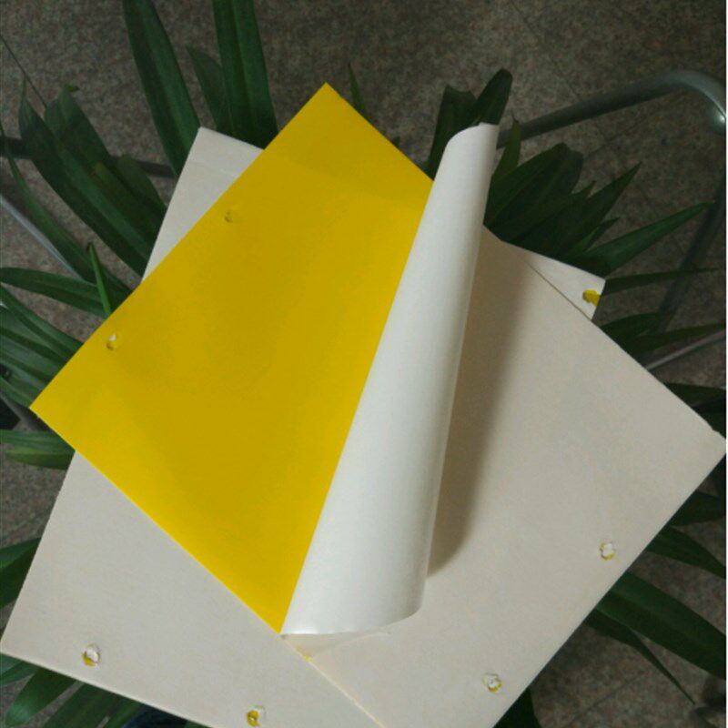 面粘虫板黄板超粘诱虫板防水大棚果园茶园庭院