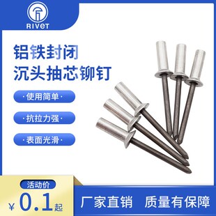 铝铁封闭型抽拉铆钉埋头  防水钉密封式沉头