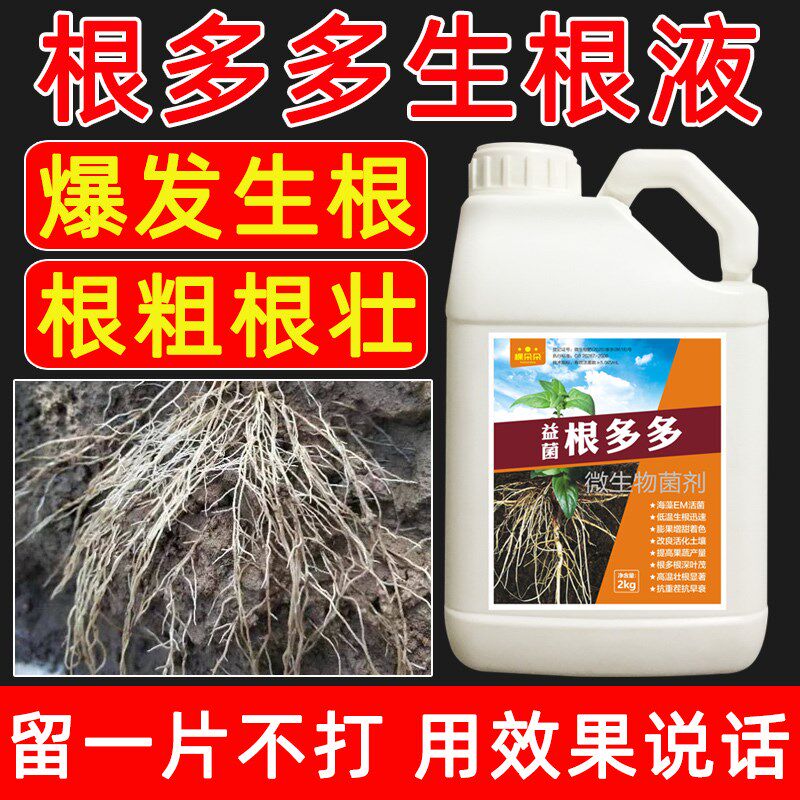 辣椒生根剂生根壮苗剂发根液灌根复合微生物菌肥水溶肥根多多