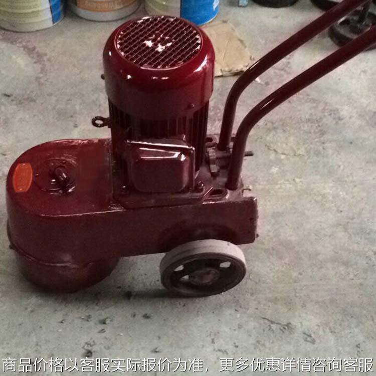 金刚石磨块磨地机 小型水磨石机水泥地打磨 混凝土地坪研磨抛光机