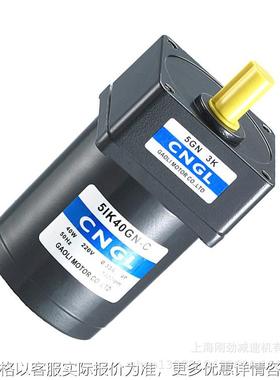 刚功微型减速机 51K40GN交流减速电机