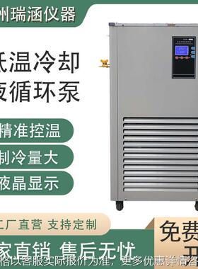 厂家推荐DLSB系列20L低温冷水机低温反应设备低温冷却液循环泵