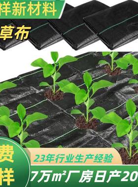 90果克抗大老化果园树BRX园温林跨境编织布保保湿农用棚黑色防草
