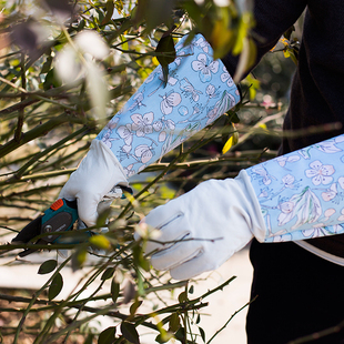 虹越 防刺园艺手套 皮质防扎防滑耐用护臂拌土修剪 短款长筒/带花