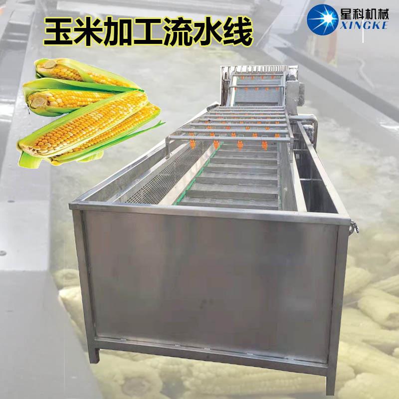 保鲜蔬菜清洗机腌制菜气泡冲浪自动洗菜机果蔬涡流喷淋清洗机