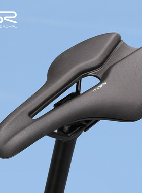 SELLE ROYAL短鼻坐垫SR鞍座山地车车座公路车座垫自行车配件AEROS