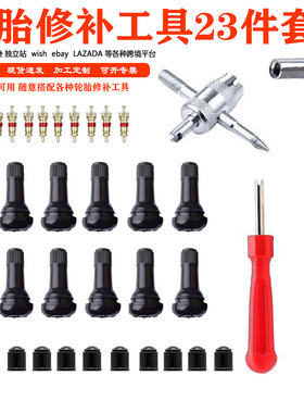 供应轮胎TR412气门嘴23件套 气门嘴气门芯拆装工具气门嘴安装工具