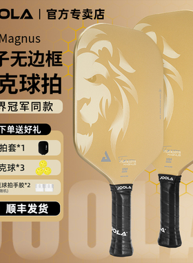 JOOLA匹克球拍板Tyson无边框专业匹克球拍碳纤维USAPA/UPA/双认证