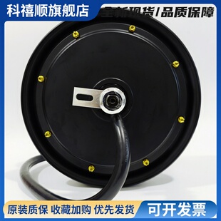 熊猫电机10寸1000W1200W1500W2000W3000W40005000W瓦片电摩大功率