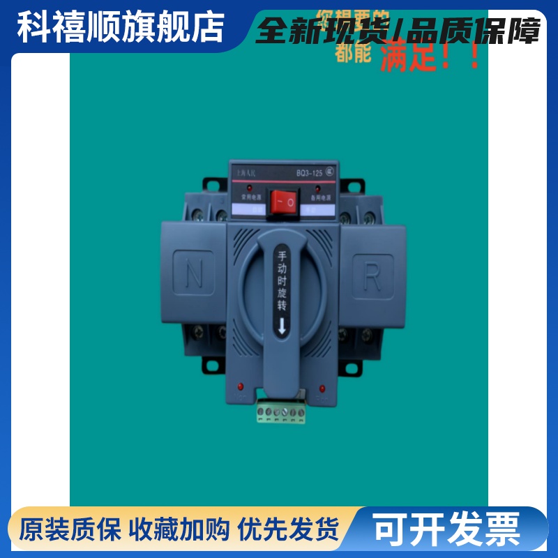 人民双电源自动转换开关BQ3-125/2P4P 10A家用220v切换ATS器断路
