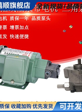 TOP-12A/13A齿轮油泵电机ROP11A三角摆线泵380V机床车床润滑220V