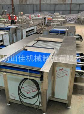 红大型枣分选枣机ONB 核桃分级机 坚果大小拣设备 果分蔬级机