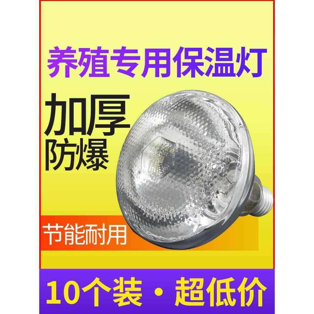 保温灯猪用小猪保暖灯小鸡养殖场猪育雏加温烤灯加热取暖灯泡